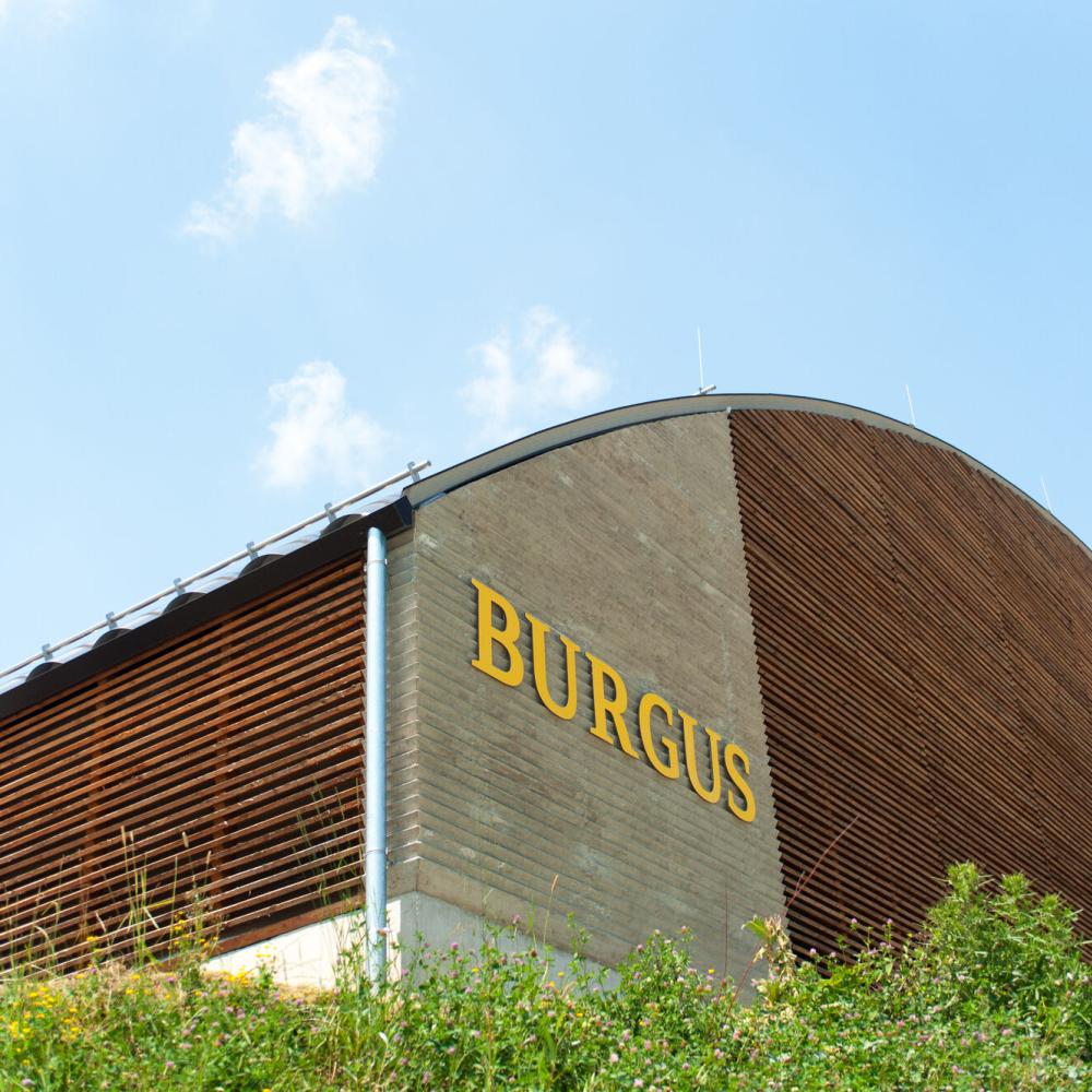 Schutzbau der Reste des Quadriburgus von Oberranna.